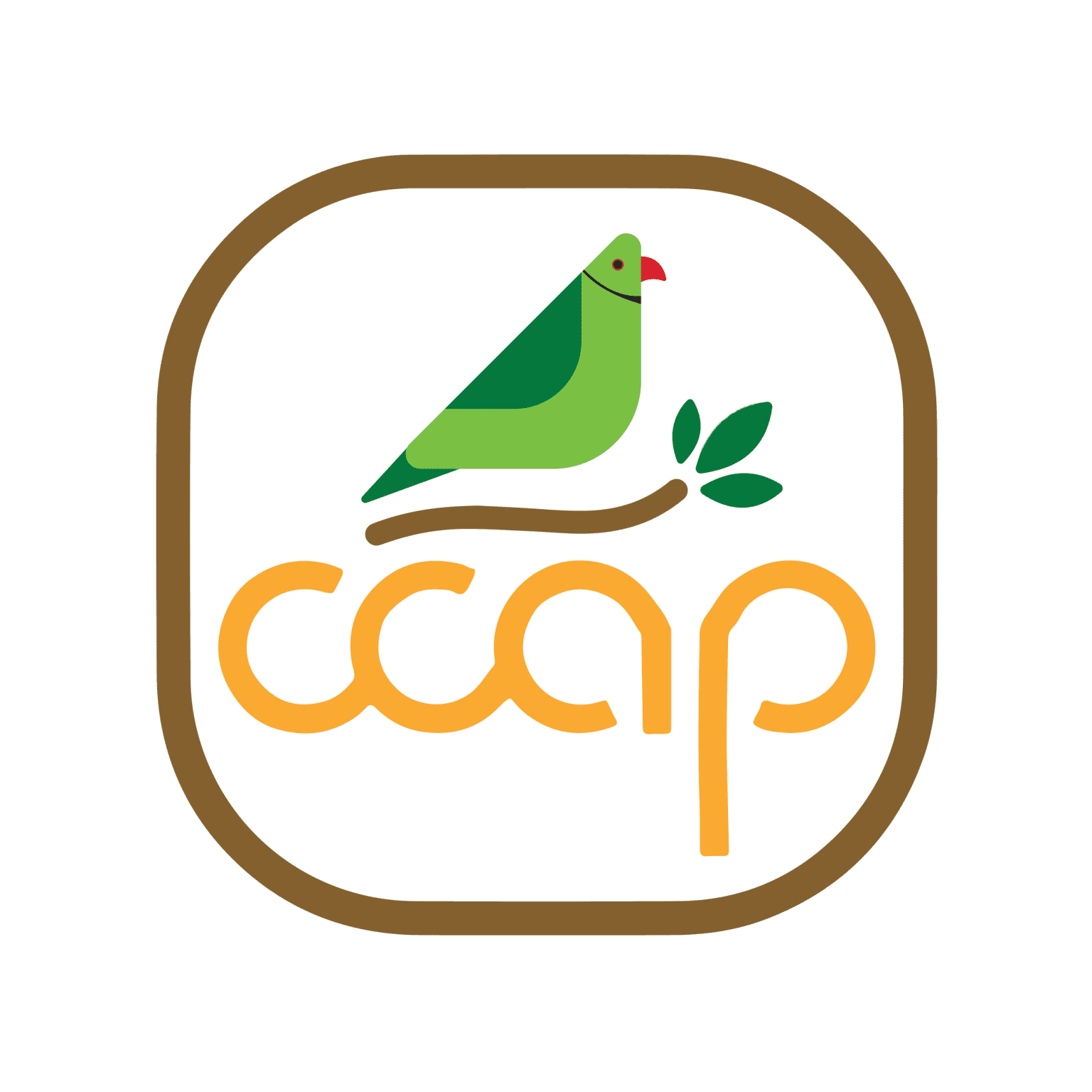 CCAP